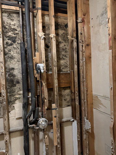 Inside of wall with mold damage.
