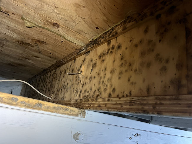 Mold spots on wood in residential home